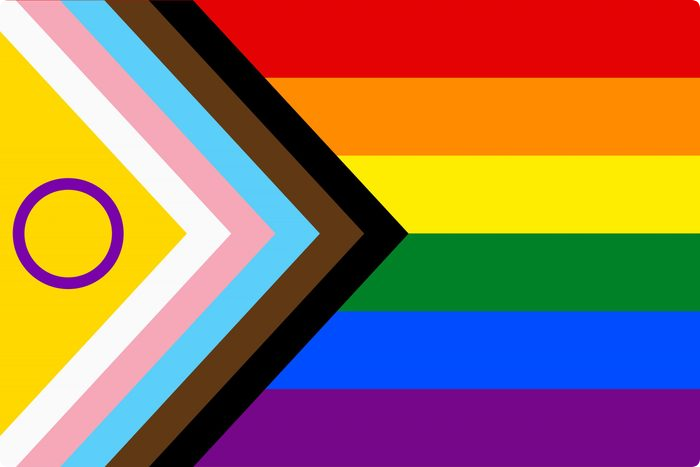 The Progress Pride Flag as of 2021, representing the traditional six pride colors, BIPOC LGBTQ+ folks, and trans and intersex people.