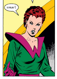 A panel of the costume from the SECRET WARS comic.