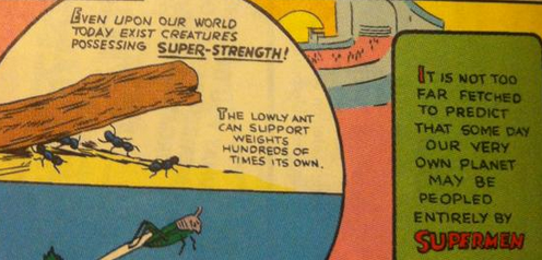 A section of "The Scientific Secret of Superman's Amazing Strength", Siegel and Shuster. Showing an ant lifting a log.