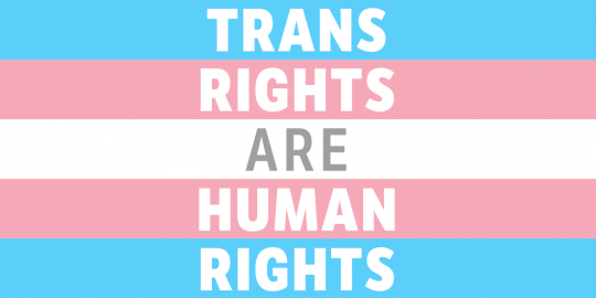 The Trans flag, with "trans rights are human rights" written on top.